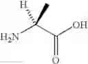 Fig. 72 - IRON-SALEN COMPLEX