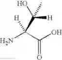 Fig. 86 - IRON-SALEN COMPLEX