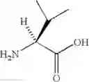 Fig. 89 - IRON-SALEN COMPLEX
