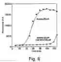 Fig. 07 - Compounds, Pharmaceutical Compositions and Therapeutic Methods of Preventing and Treating Diseases and Disorders Associated With Amyloid Fibril Formation