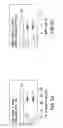 Fig. 08 - Negative immunomodulation of immune responses by ERp5