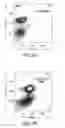 Fig. 16 - Negative immunomodulation of immune responses by ERp5
