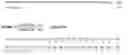 Fig. 53 - Polypeptides of and polynucleotides encoding same and vaccinal, therapeutical and diagnostic applications thereof