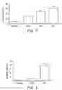 Fig. 07 - TOONA SINENSIS EXTRACT FOR SUPPRESSING PROLIFERATION AND INDUCING APOPTOSIS OF OSTEOSARCOMA CELLS