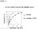 Fig. 02 - Functional Masticatory Material, Method Of Producing The Same And Method Of Using The Same