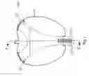 Fig. 02 - Apple saver