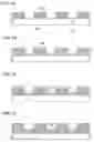 Fig. 02 - Evaporation donor substrate, method for manufacturing the same, and method for manufacturing light-emitting device