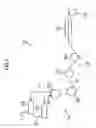 Fig. 02 - Cellulose resin film and method for producing the same