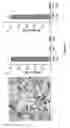 Fig. 07 - Cell free methods for detecting protein-ligand binding