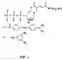Fig. 02 - System and method for nucleic acid sequencing by polymerase synthesis