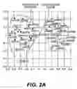 Fig. 04 - Methods of diagnosing or treating prostate cancer using the ERG gene, alone or in combination with other over or under expressed genes in prostate cancer