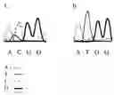 Fig. 01 - METHODS AND COMPOSITIONS FOR DIFFERENTIATING TISSUES OR CELL TYPES USING EPIGENETIC MARKERS