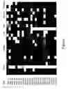 Fig. 05 - METHODS AND COMPOSITIONS FOR DIFFERENTIATING TISSUES OR CELL TYPES USING EPIGENETIC MARKERS