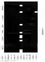 Fig. 06 - METHODS AND COMPOSITIONS FOR DIFFERENTIATING TISSUES OR CELL TYPES USING EPIGENETIC MARKERS