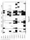 Fig. 25 - METHODS AND COMPOSITIONS FOR DIFFERENTIATING TISSUES OR CELL TYPES USING EPIGENETIC MARKERS