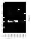 Fig. 27 - METHODS AND COMPOSITIONS FOR DIFFERENTIATING TISSUES OR CELL TYPES USING EPIGENETIC MARKERS