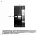 Fig. 08 - Method for Enhancing Enzymatic DNA Polymerase Reactions