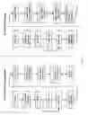 Fig. 02 - Method For Predicting Biological Systems Responses