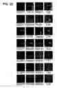 Fig. 49 - Use of regulatory sequences for specific, transient expression in neuronal determined cells