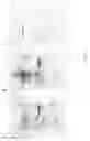 Fig. 02 - Biomarkers and detection methods for gastric diseases