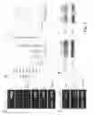 Fig. 07 - Biomarkers and detection methods for gastric diseases
