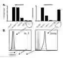 Fig. 01 - Identification of thymically derived CD4 T cells by protein tyrosine kinase 7 expression