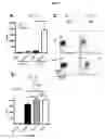 Fig. 08 - Identification of thymically derived CD4 T cells by protein tyrosine kinase 7 expression