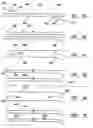 Fig. 08 - ANALYSIS OF DNA