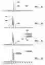 Fig. 09 - ANALYSIS OF DNA
