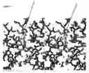 Fig. 07 - Methods of using crystals of beta amyloid cleaving enzyme (BACE)