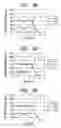 Fig. 04 - Process for forming dielectric films