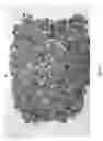 Fig. 04 - PROCESS OF MAKING AN ABSORBENT MATERIAL FROM WASTE GOODS AND THE PRODUCT OF THE PROCESS