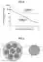 Fig. 03 - Metal sheath magnesium diboride superconducting wire and its manufacturing method