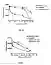 Fig. 06 - Formation of superfibronectin by BBK32 and uses therefor