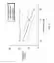 Fig. 07 - Antiviral compositions comprising a multiple branched peptide construct containing human CD38 leukocyte surface antigen polypeptides