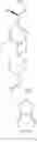 Fig. 613 - TRPV1 antagonists including dihydroxy substituent and uses thereof