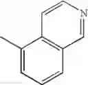 Fig. 158 - S1Preceptor antagonist
