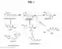 Fig. 02 - Phenolic hydrazone macrophage migration inhibitory factor inhibitors
