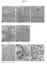 Fig. 02 - Thermoplastic resin composition having excellent low gloss characteristic and scratch resistance, and method for preparing the same