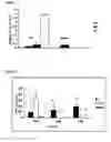 Fig. 04 - Altered peptide ligand derived from HSP60 and pharmaceutical compositions
