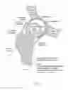 Fig. 02 - Method and devices for minimally invasive arthroscopic procedures