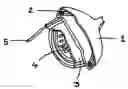 Fig. 01 - ENERGY GENERATING SYSTEMS FOR IMPLANTED MEDICAL DEVICES