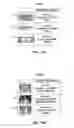 Fig. 07 - INTERACTIVE MEDIA GUIDANCE APPLICATION WITH ACCESS TO MULTIPLE DATA PATHS