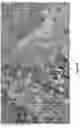 Fig. 30 - Loci associated charcoal rot drought complex tolerance in soybean