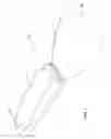 Fig. 02 - Non-stick coated putty knife