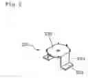 Fig. 07 - Burner assembly and cooking appliance