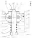 Fig. 02 - Actuating element for the parking lock of a transmission and parking lock for a transmission
