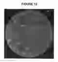 Fig. 07 - METHOD FOR FABRICATING TEMPERATURE SENSITIVE AND SPUTTER TARGET ASSEMBLIES USING REACTIVE MULTILAYER JOINING
