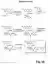 Fig. 22 - Single Cell Analysis of Membrane Molecules