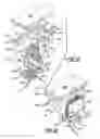 Fig. 07 - Method and apparatus for electrocoagulation of liquids